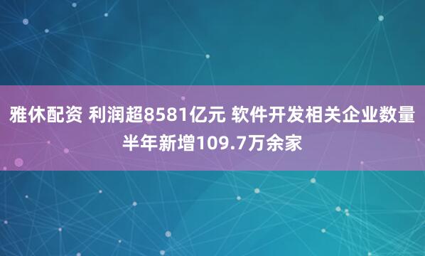 雅休配资 利润超8581亿元 软件开发相关企业数量半年新增109.7万余家