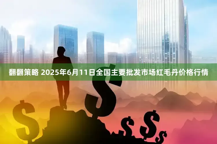 翻翻策略 2025年6月11日全国主要批发市场红毛丹价格行情